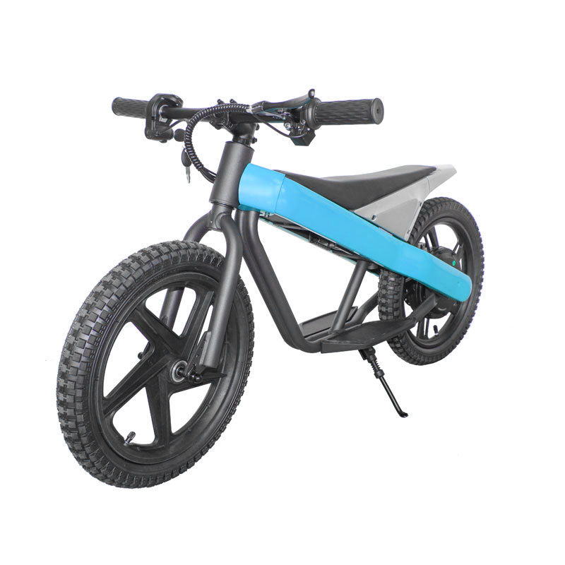 ET-01 300W 24V 6AH Strollwheel Electric 16 Inch Two Wheel Bike