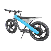 ET-01 300W 24V 6AH Strollwheel Electric 16 Inch Two Wheel Bike