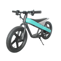 ET-01 300W 24V 6AH Strollwheel Electric 16 Inch Two Wheel Bike