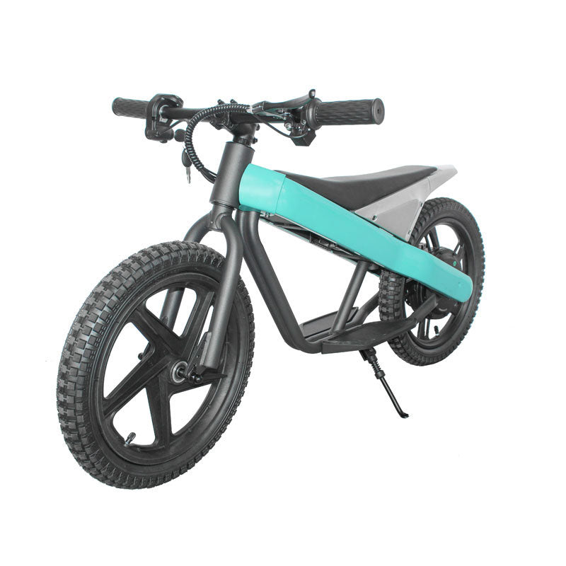 ET-01 300W 24V 6AH Strollwheel Electric 16 Inch Two Wheel Bike
