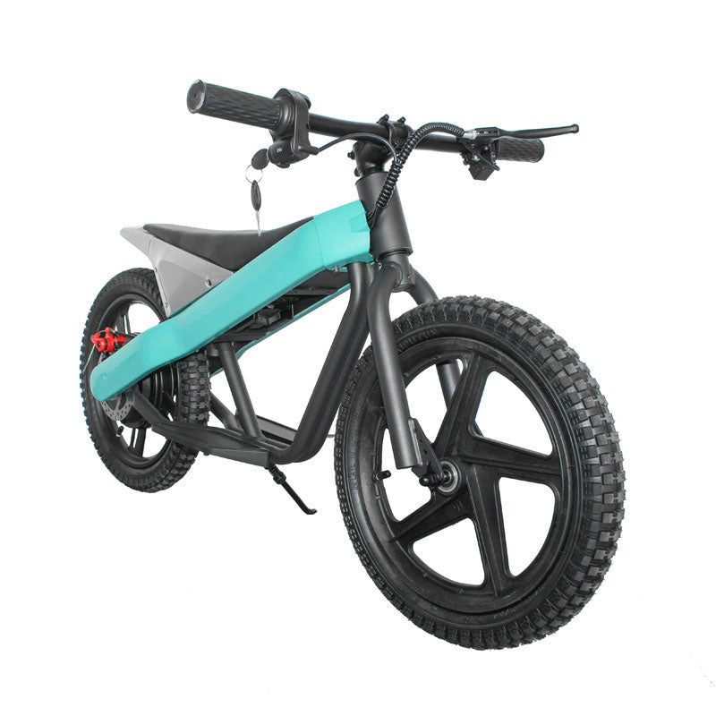 ET-01 300W 24V 6AH Strollwheel Electric 16 Inch Two Wheel Bike