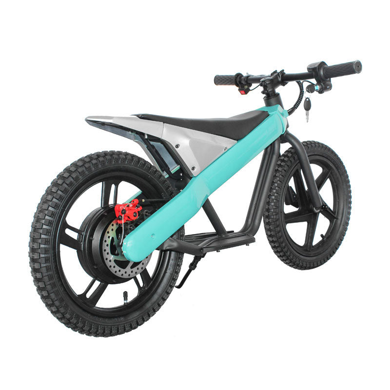ET-01 300W 24V 6AH Strollwheel Electric 16 Inch Two Wheel Bike