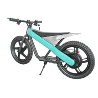 ET-01 300W 24V 6AH Strollwheel Electric 16 Inch Two Wheel Bike