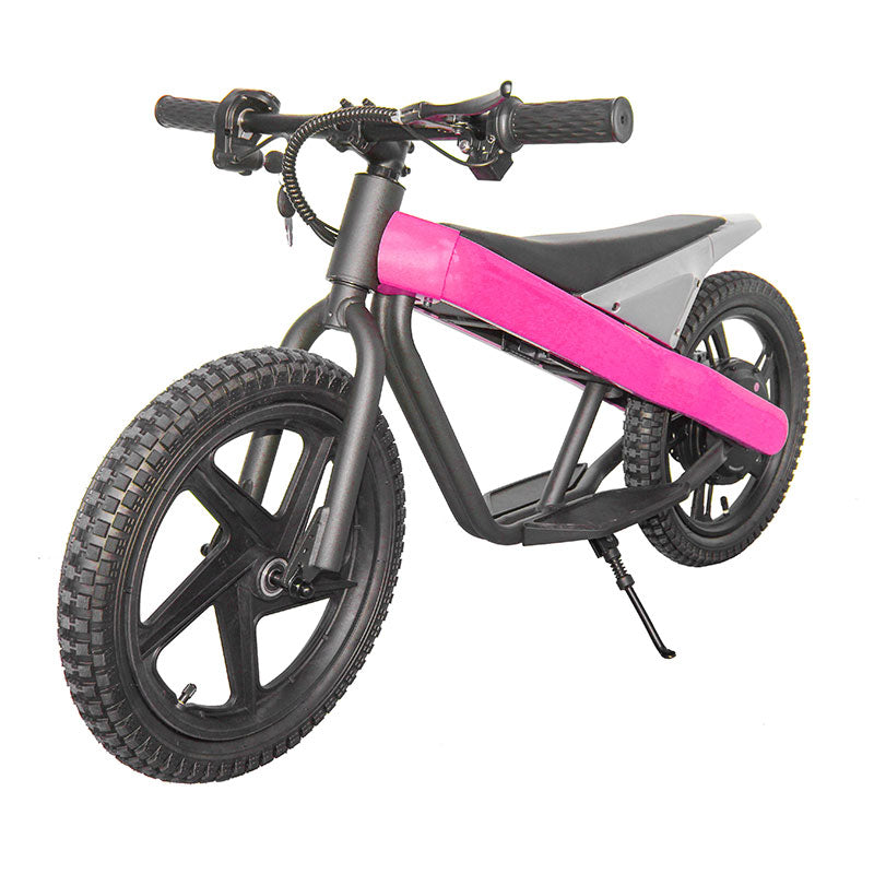 ET-01 300W 24V 6AH Strollwheel Electric 16 Inch Two Wheel Bike