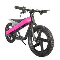ET-01 300W 24V 6AH Strollwheel Electric 16 Inch Two Wheel Bike