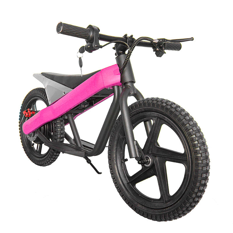 ET-01 300W 24V 6AH Strollwheel Electric 16 Inch Two Wheel Bike