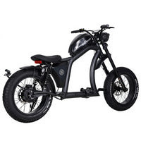 FT02 EEC Electric Bike 1000W 48V 22.5Ah Battery 45KM/H COC