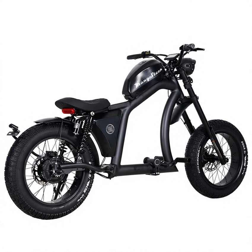 FT02 EEC Electric Bike 1000W 48V 22.5Ah Battery 45KM/H COC