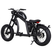 FT02 EEC Electric Bike 1000W 48V 22.5Ah Battery 45KM/H COC