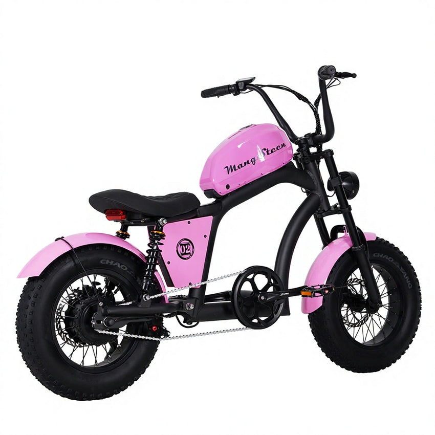 EU Warehouse FT-02 Mini Electric City Fat Tire E-bike 500W 48V 22.5Ah Lithium Battery Powered City Bike