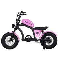 EU Warehouse FT-02 Mini Electric City Fat Tire E-bike 500W 48V 22.5Ah Lithium Battery Powered City Bike