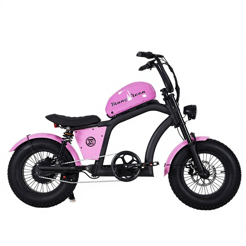 EU Warehouse FT-02 Mini Electric City Fat Tire E-bike 500W 48V 22.5Ah Lithium Battery Powered City Bike