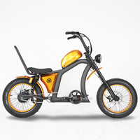 FT02 Electric City Bike 1500W 52V 27Ah with Higher Handle