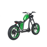 Germany Warehouse FT-02 750W 48V 22.5Ah Electric City Bike Bicycle with Chain 25km/h