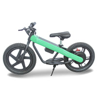 ET-02 300W 24V 6AH Two Wheel Citycoco Electric Scooter