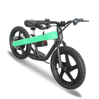 ET-02 300W 24V 6AH Two Wheel Citycoco Electric Scooter