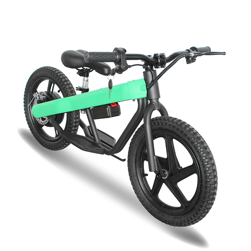 ET-02 300W 24V 6AH Two Wheel Citycoco Electric Scooter