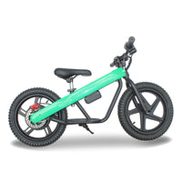 ET-02 300W 24V 6AH Two Wheel Citycoco Electric Scooter