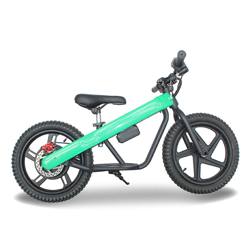 ET-02 300W 24V 6AH Two Wheel Citycoco Electric Scooter