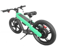 ET-02 300W 24V 6AH Two Wheel Citycoco Electric Scooter