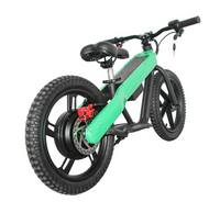 ET-02 300W 24V 6AH Two Wheel Citycoco Electric Scooter