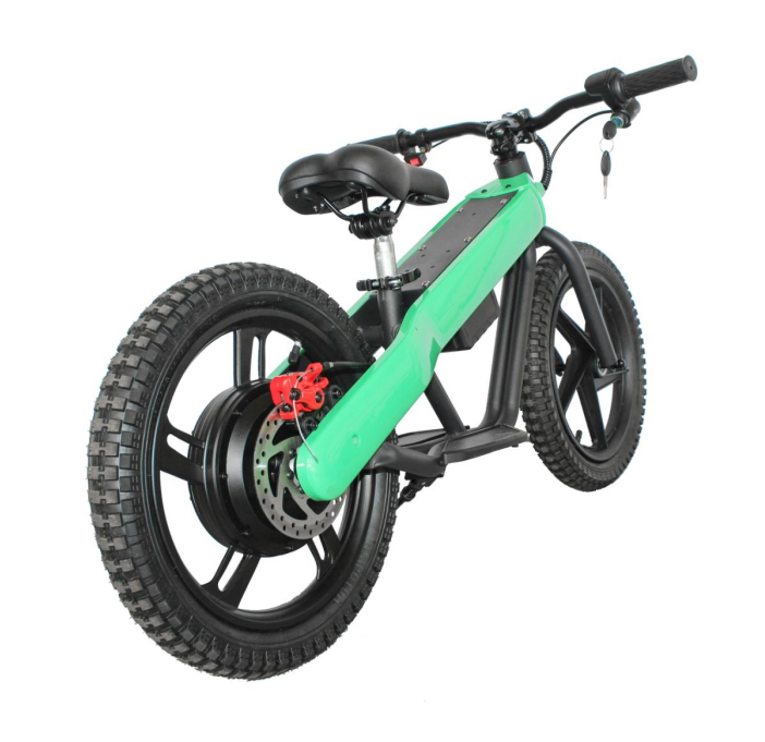 ET-02 300W 24V 6AH Two Wheel Citycoco Electric Scooter