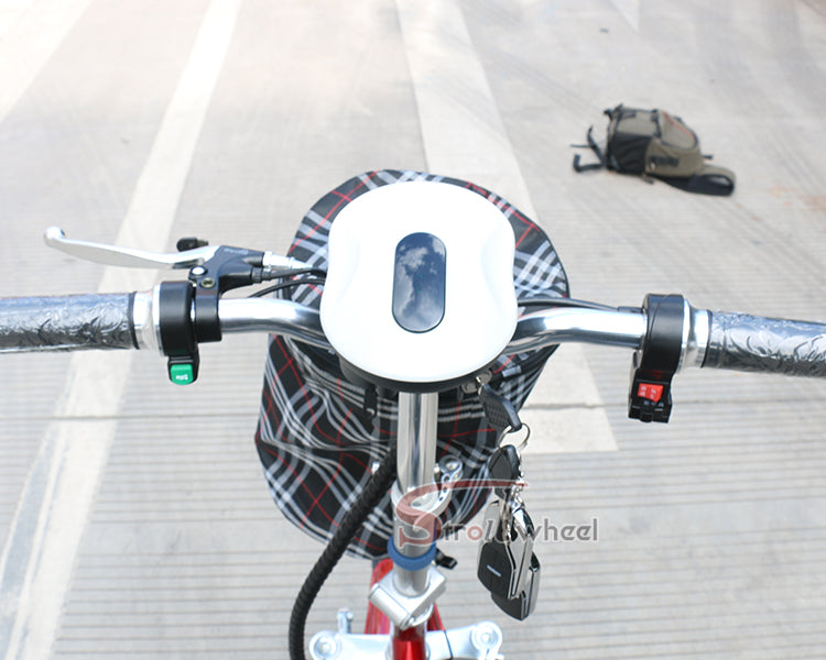 ST-3001 Zappy 3 Wheel Electric Scooter Tricycle Citycoco
