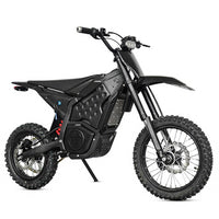 Q3 High-Speed 55km/h Off-Road Motorcycle Touring Electric Motorbike Sportbikes
