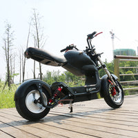 ES1007 2000W 60V 20Ah Electric Citycoco Motorcycle