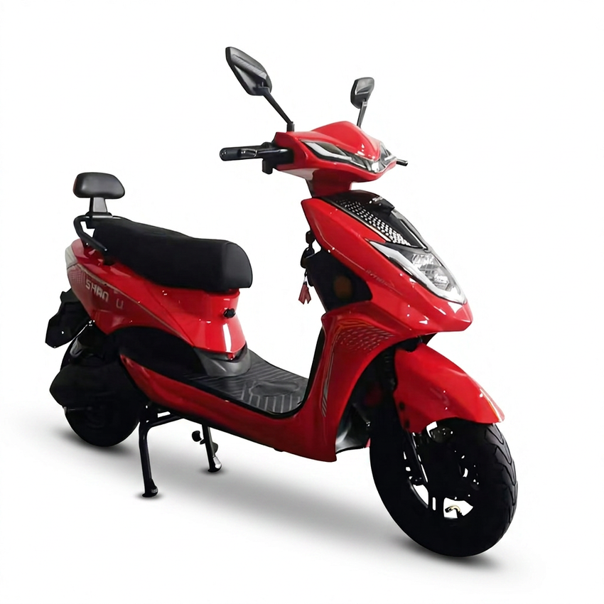 SS-DM01 Electric Motorcycle for Adult Mobility Motorbike