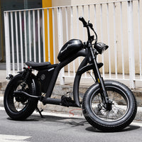 FT02 EEC Electric Bike 1000W 48V 22.5Ah Battery 45KM/H COC
