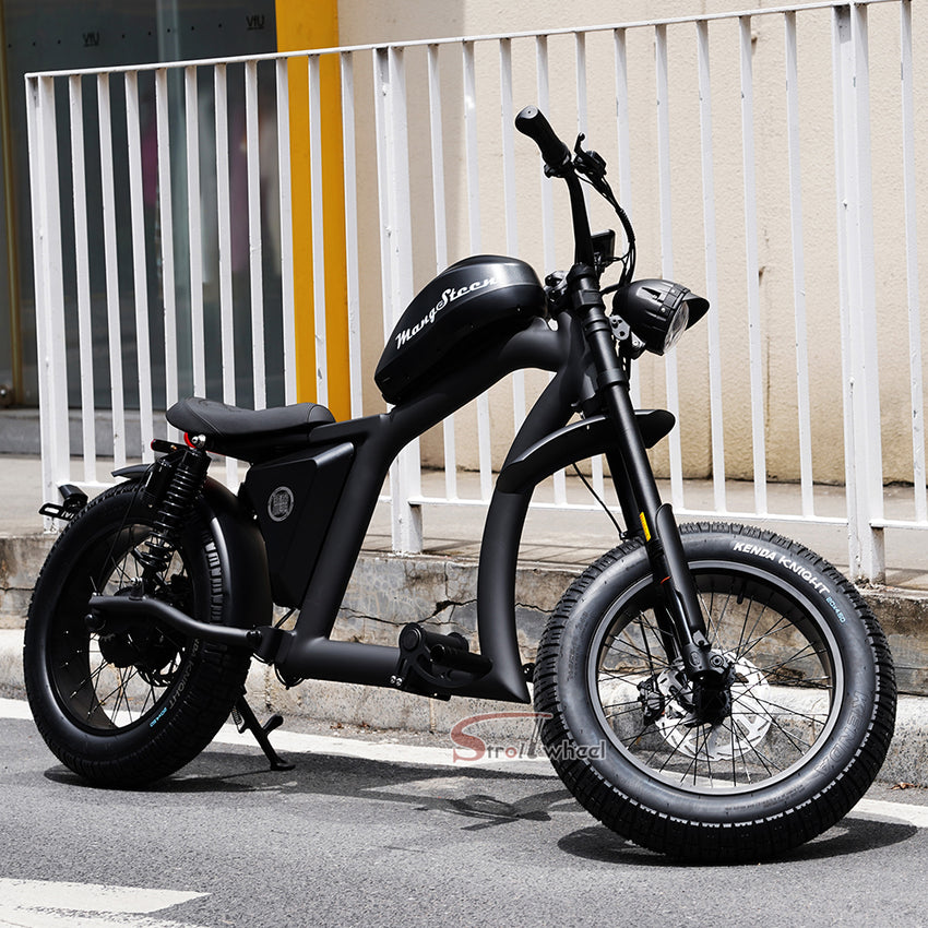 FT02 EEC Electric Bike 1000W 48V 22.5Ah Battery 45KM/H COC