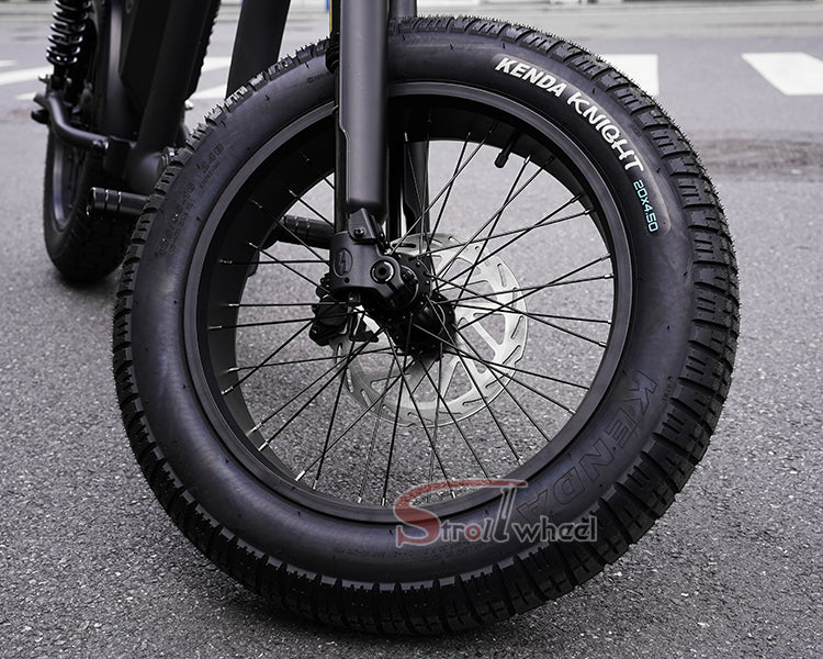FT02 EEC Electric Bike 1000W 48V 22.5Ah Battery 45KM/H COC
