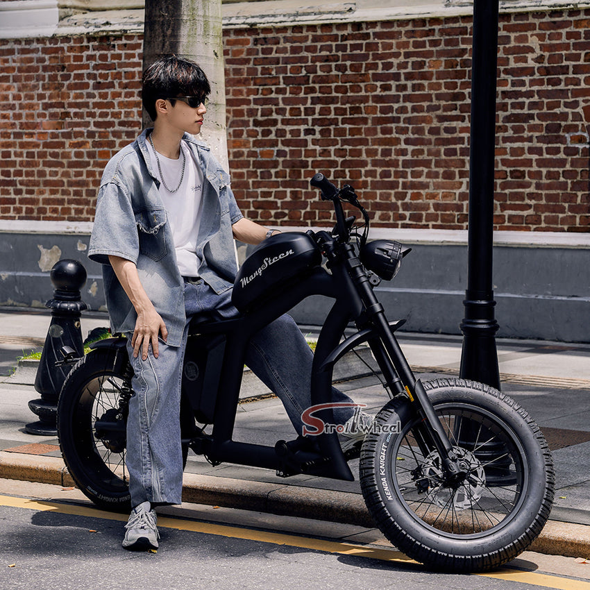 FT02 EEC Electric Bike 1000W 48V 22.5Ah Battery 45KM/H COC