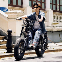 FT02 EEC Electric Bike 1000W 48V 22.5Ah Battery 45KM/H COC