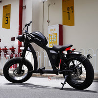 FT02 EEC Electric Bike 1000W 48V 22.5Ah Battery 45KM/H COC