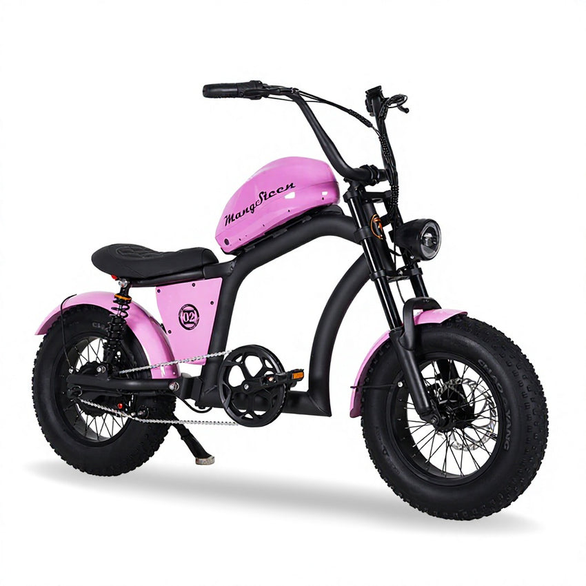 EU Warehouse FT-02 Mini Electric City Fat Tire E-bike 500W 48V 22.5Ah Lithium Battery Powered City Bike