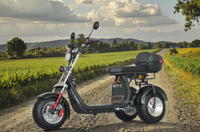 Hot Selling 72V 10000W 85KM/H Mid-motor Adults Electric Motorcycle Electric Dirt Bike All Terrain Motorbikes