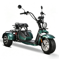 HM-3 2000W Motor 60V 20AH Battery Electric Tricycle Citycoco