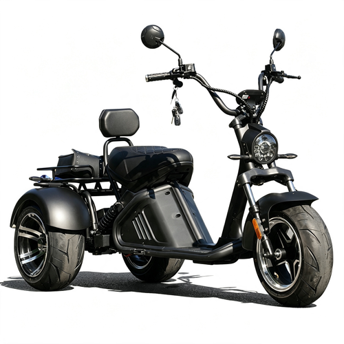 M2 Mangosteen Tricycle EEC COC Electric Chopper Scooter Citycoco