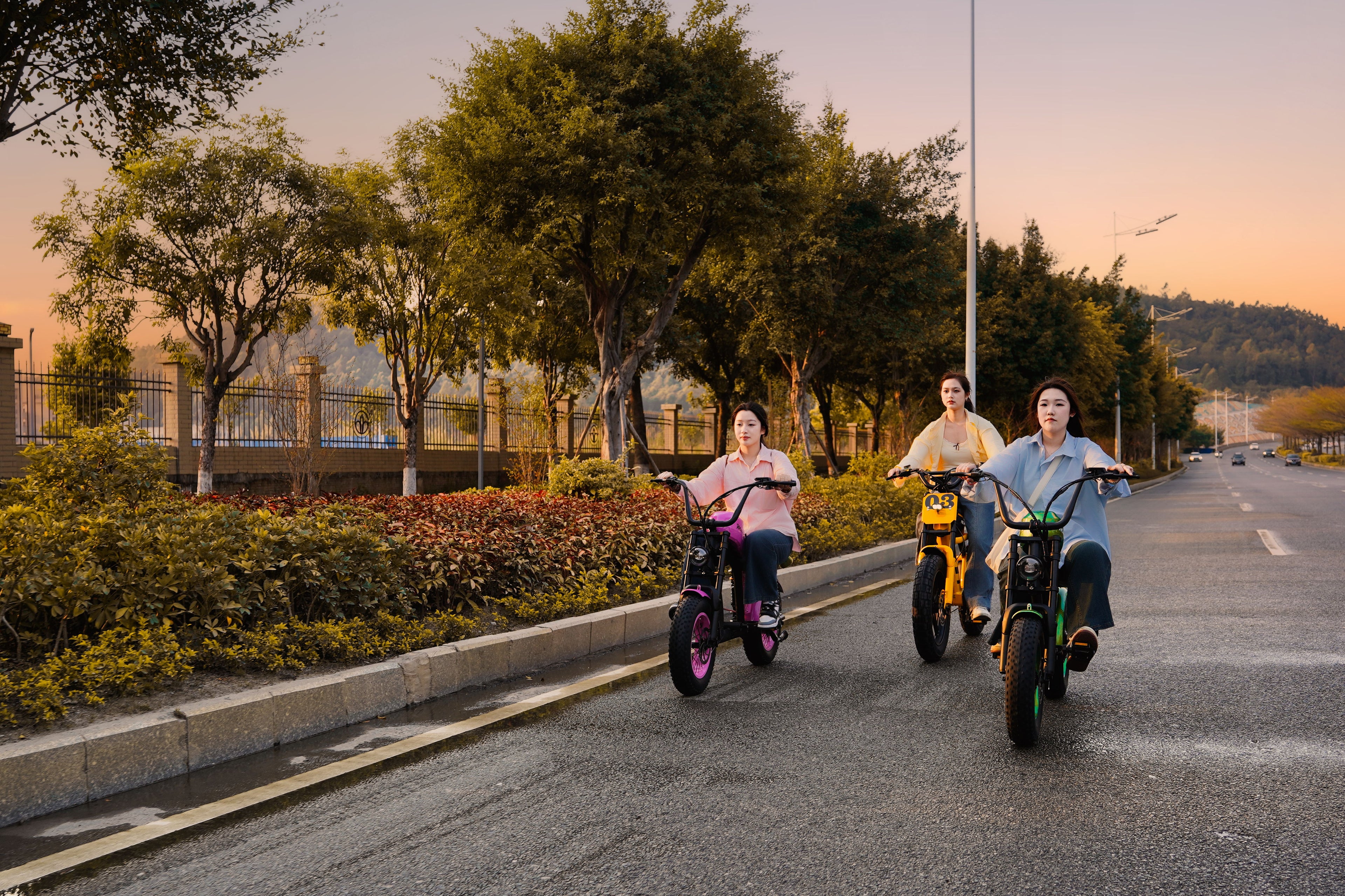 FT-03_Electric_Bike
