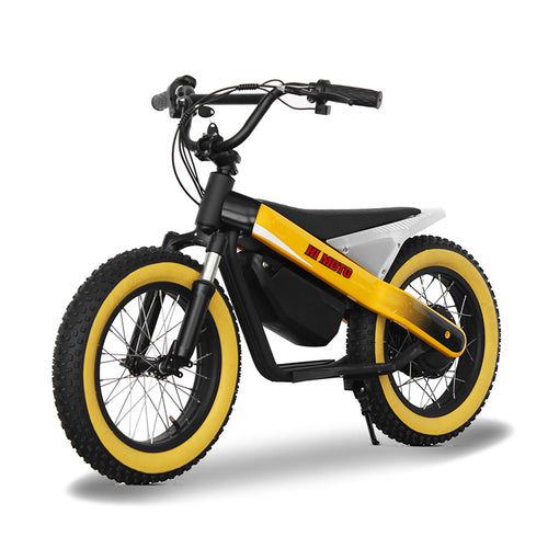 ET-03 Electric Bike Two Wheel Ebike 800W 36V 15AH