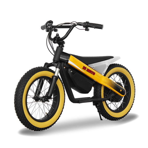 ET-03 Electric Bike Two Wheel Ebike 800W 36V 15AH