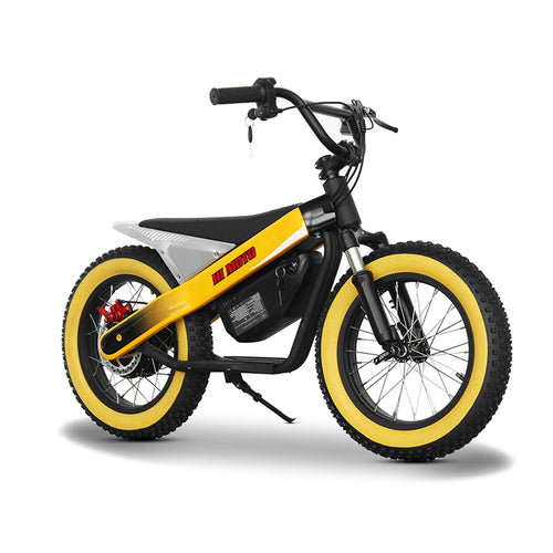 ET-03 Electric Bike Two Wheel Ebike 800W 36V 15AH