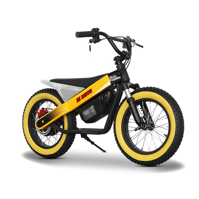 ET-03 Electric Bike Two Wheel Ebike 800W 36V 15AH