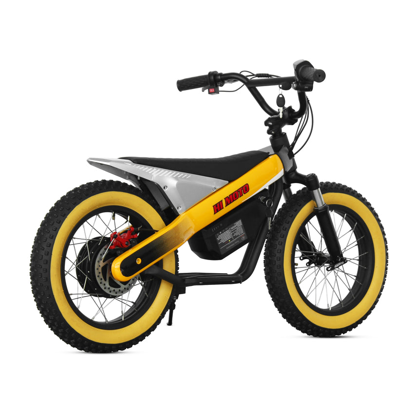 ET-03 Electric Bike Two Wheel Ebike 800W 36V 15AH