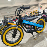 ET-03 Electric Bike Two Wheel Ebike 800W 36V 15AH
