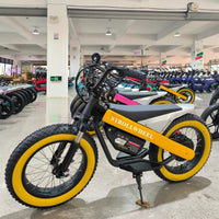 ET-03 Electric Bike Two Wheel Ebike 800W 36V 15AH