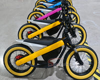 ET-03 Electric Bike Two Wheel Ebike 800W 36V 15AH