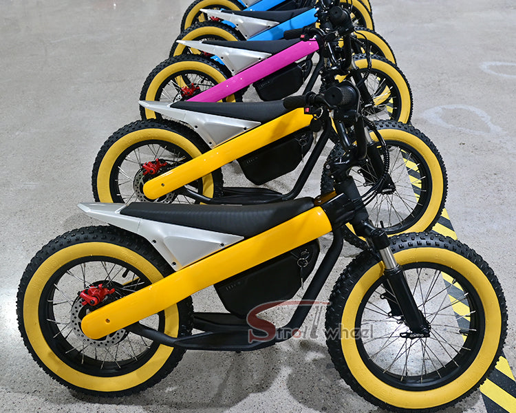 ET-03 Electric Bike Two Wheel Ebike 800W 36V 15AH